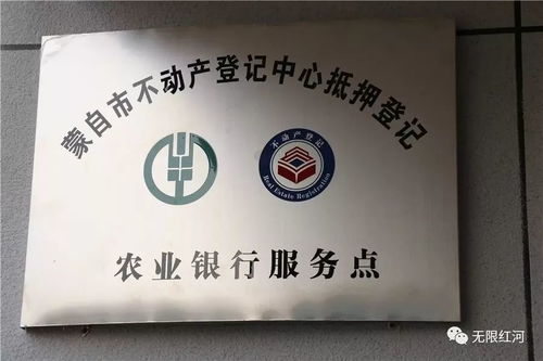 蒙自不动产登记服务新试点 审核办理两天内可完成，代理服务再升级